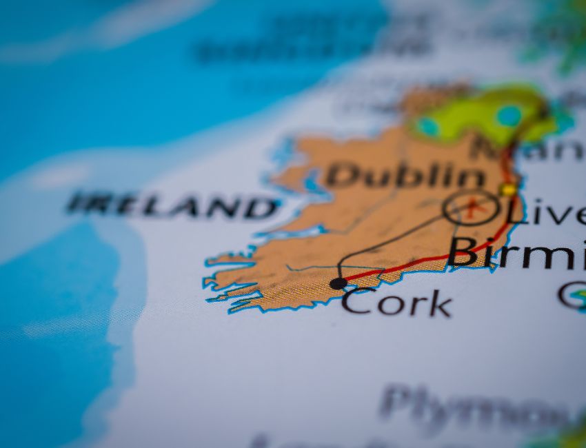 The Business Environment for Small and Medium Enterprises in Ireland